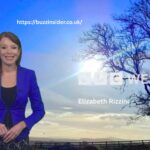 Elizabeth Rizzini Disability