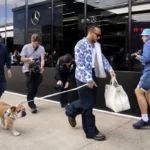 charles leclerc dog