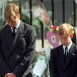 Prince Harry Nazi Controversy